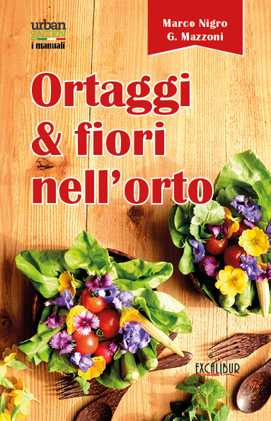 Ortaggi e fiori nell'orto